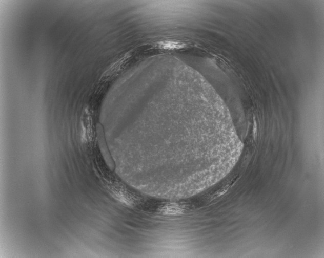 X0000051880416200507221955