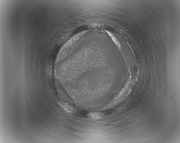 X0000051880417200507221955