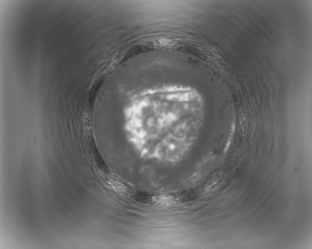 X0000051880419200507221954