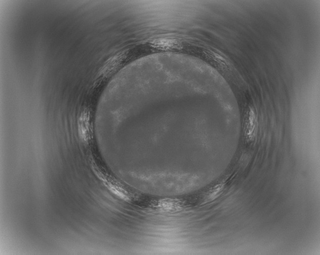 X0000051880420200507221954