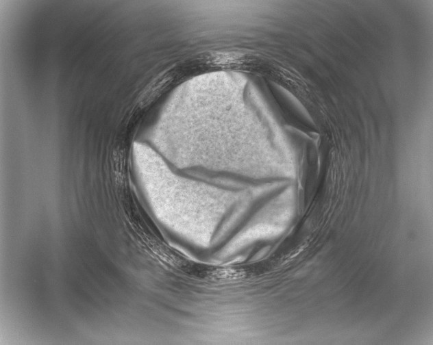 X0000051880421200507221954