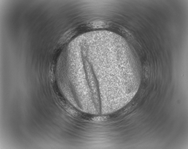 X0000051880422200507221954