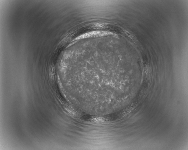 X0000051880423200507221954