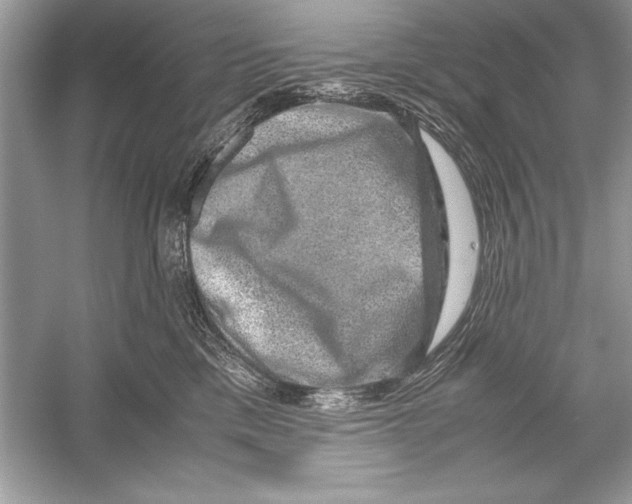 X0000051880425200507221954