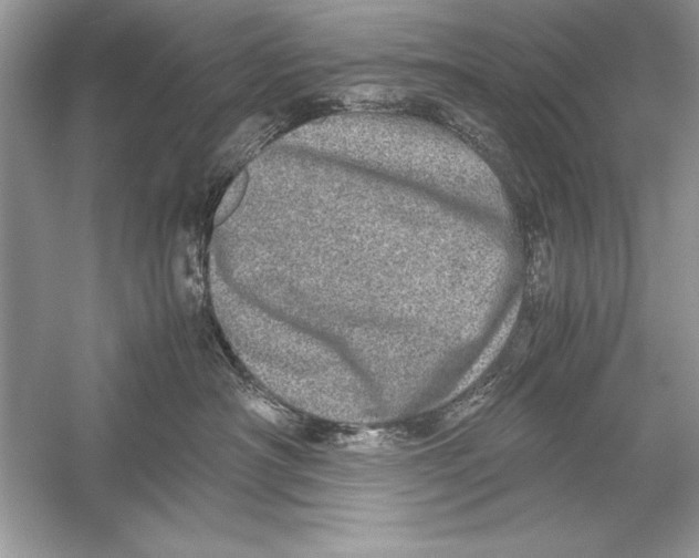 X0000051880430200507221954