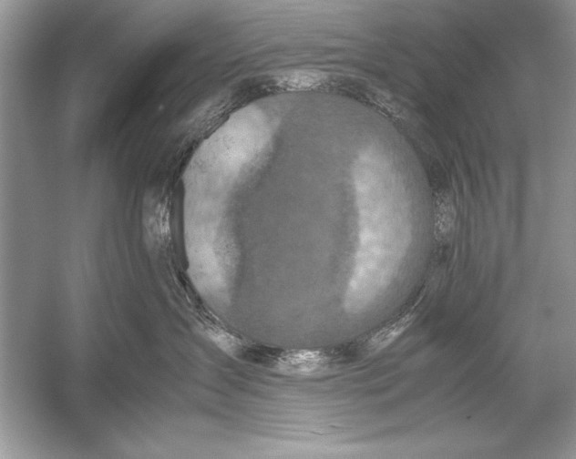 X0000051880431200507221954