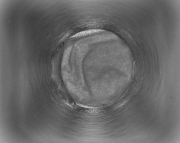 X0000051880432200507221954