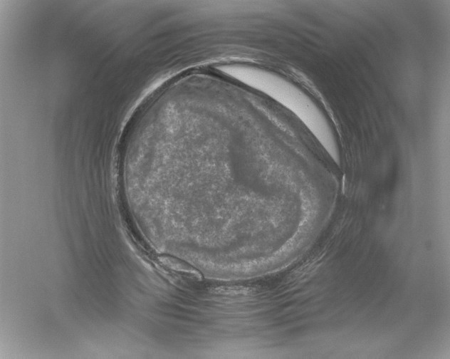 X0000051880435200507221953