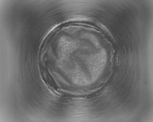 X0000051880436200507221953