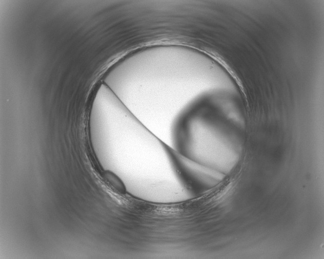 X0000051880437200507221953