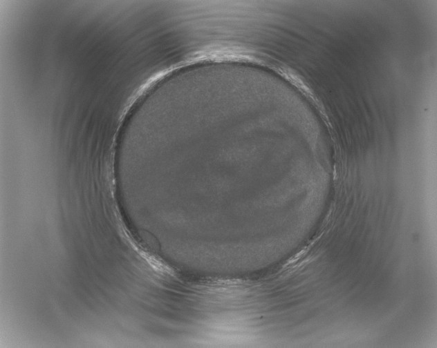 X0000051880438200507221954