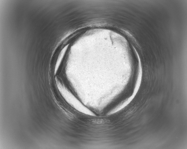 X0000051880439200507221954