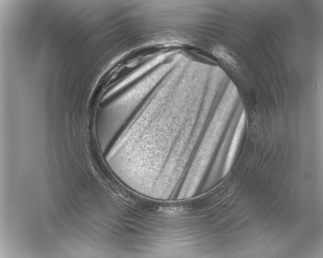 X0000051880440200507221954