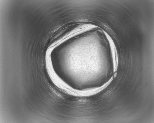 X0000051880441200507221954