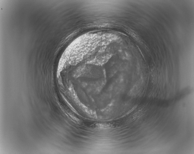 X0000051880442200507221954