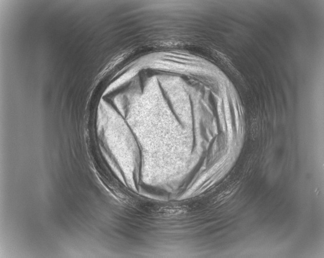 X0000051880443200507221954