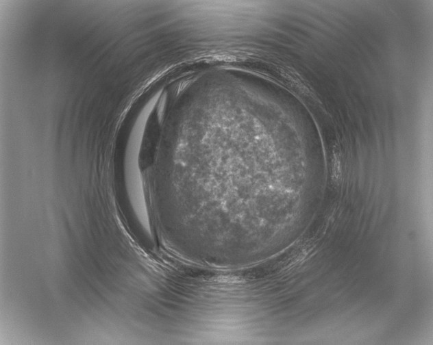 X0000051880444200507221954