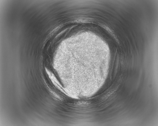 X0000051880445200507221954