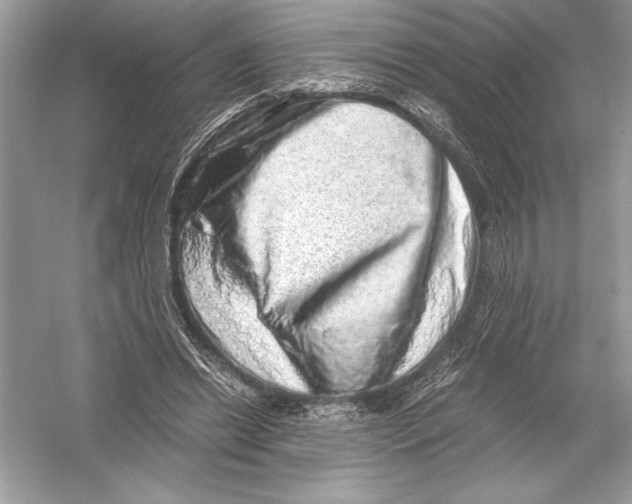 X0000051880446200507221954