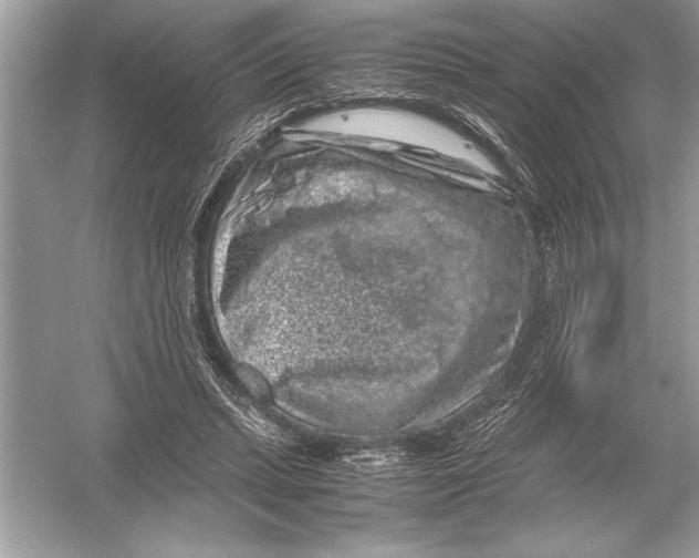 X0000051880447200507221954