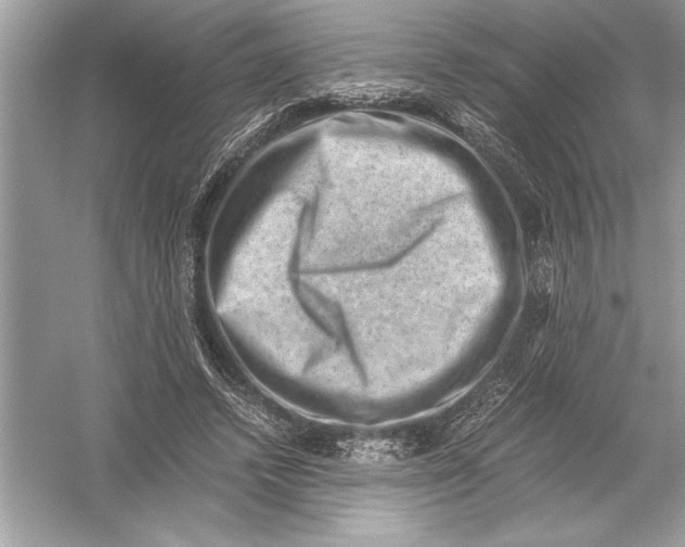 X0000051880448200507221954