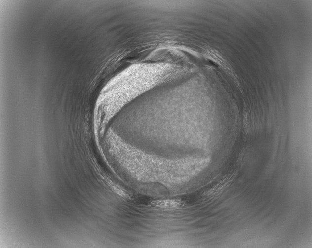 X0000051880449200507221954