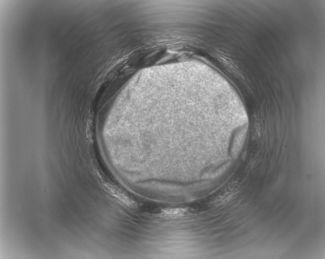 X0000051880450200507221954