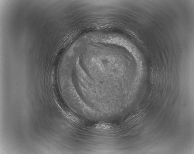 X0000051880451200507221954