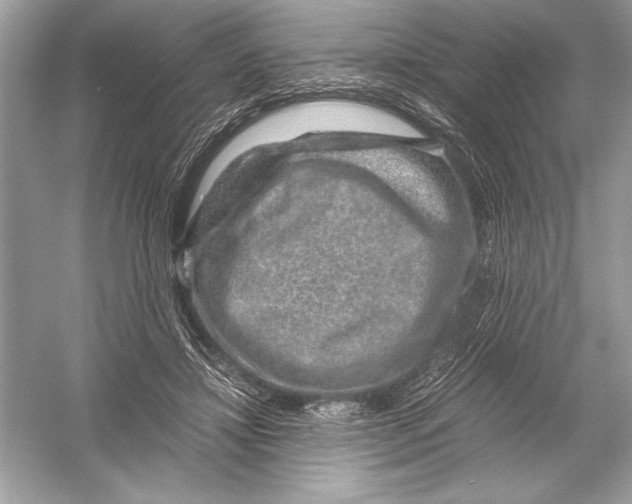 X0000051880452200507221954