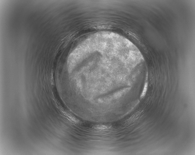 X0000051880453200507221954