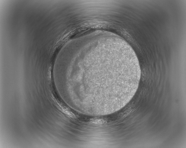 X0000051880454200507221954