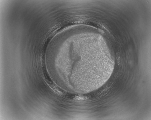 X0000051880455200507221954