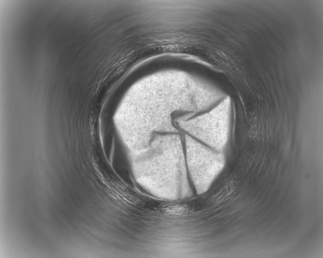 X0000051880456200507221954