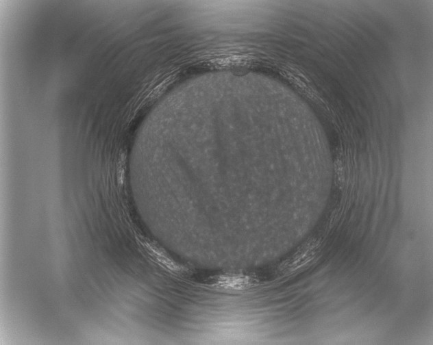 X0000051880458200507221954