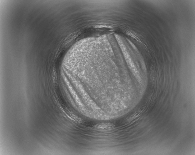 X0000051880459200507221954