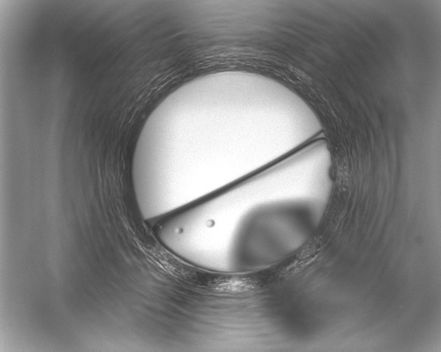 X0000051880460200507221954