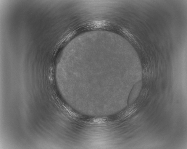 X0000051880462200507221954