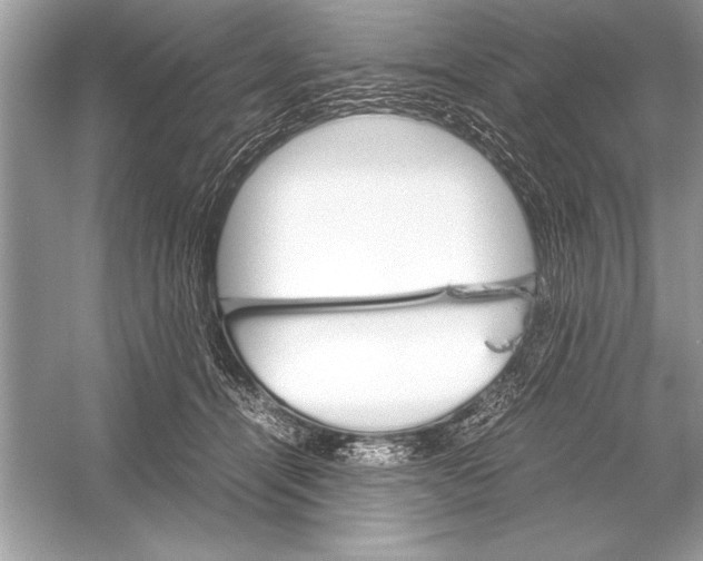 X0000051880464200507221954