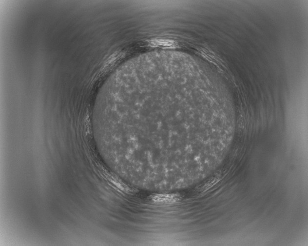 X0000051880465200507221954