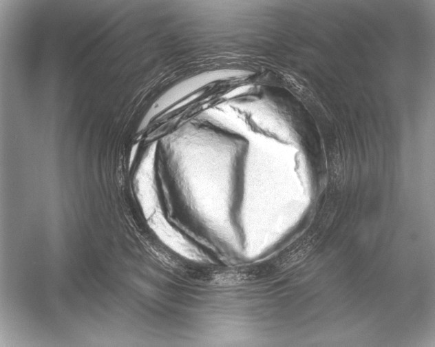 X0000051880470200507221954