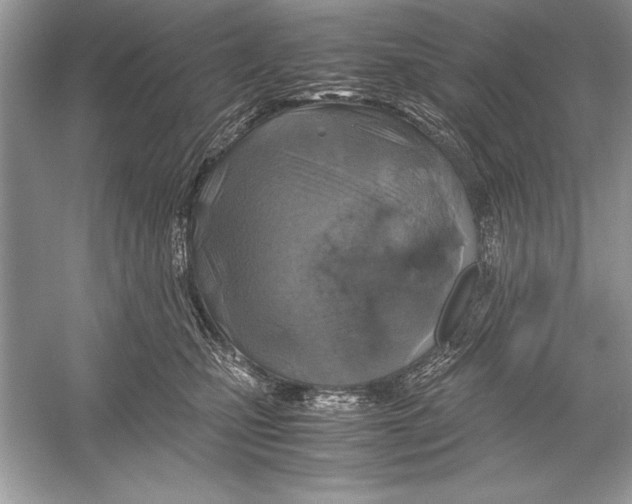 X0000051880471200507221954