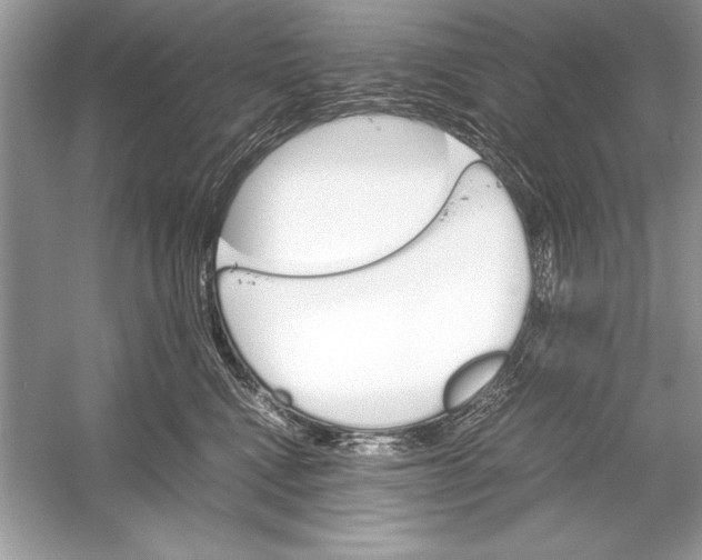 X0000051880472200507221954