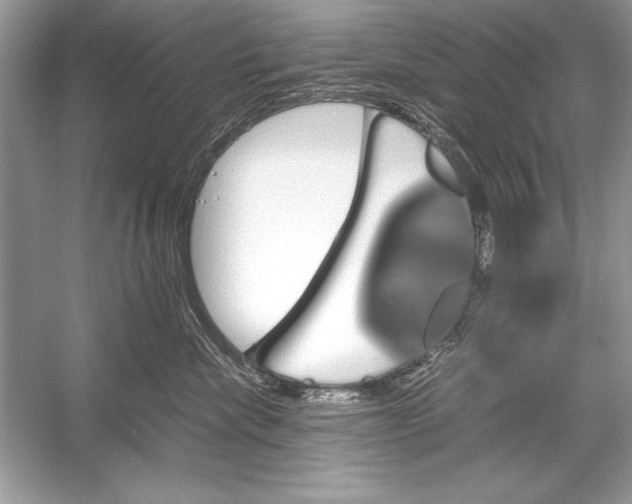 X0000051880476200507221954