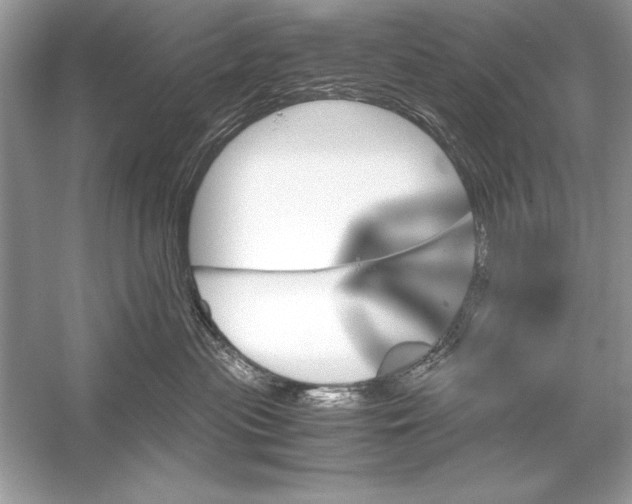 X0000051880477200507221954