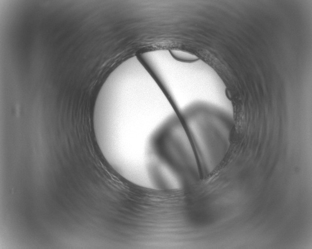 X0000051880478200507221954