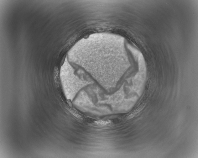 X0000051880480200507221954