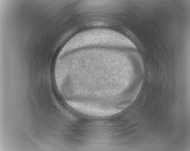 X0000051880482200507221953