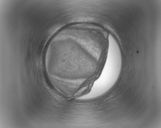 X0000051880483200507221953