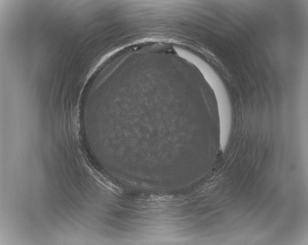 X0000051880484200507221953