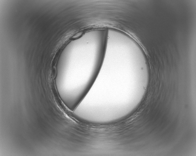 X0000051880485200507221953